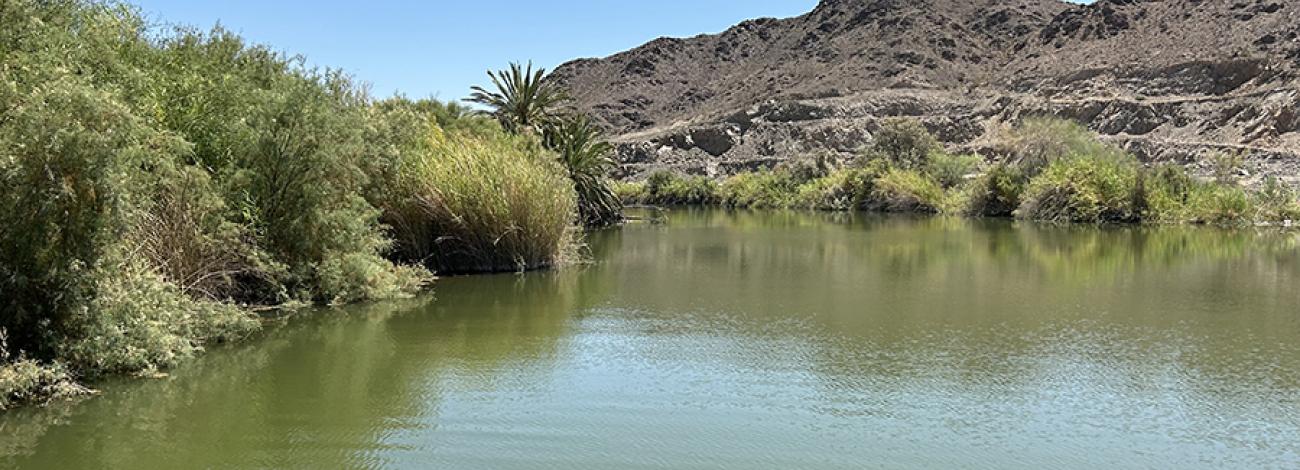 Betty's Kitchen Watchable Wildlife Viewing Area and National Recreation Trail south view