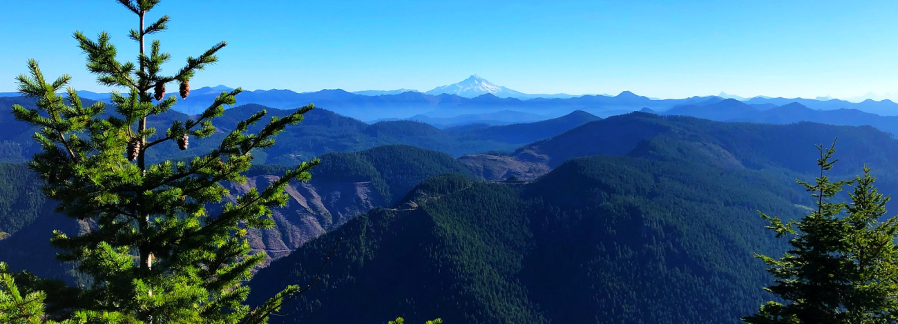 Table Rock Wilderness Area showing steep and rugged terrain of Douglas fir and western hemlock