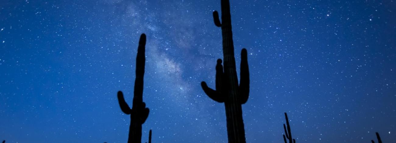 Hiking sonoran shop desert national monument