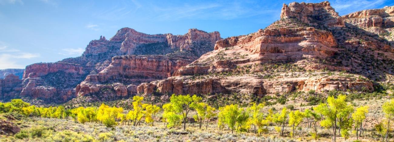 Utah - San Rafael Swell Recreation Area  BUREAU OF LAND MANAGEMENT