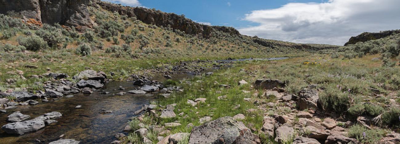 Upper West Little Owyhee WSA