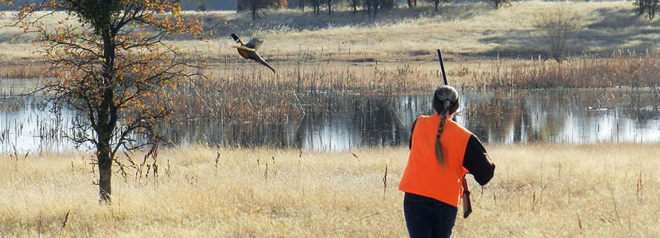 Hunting, Fishing and Recreational Shooting