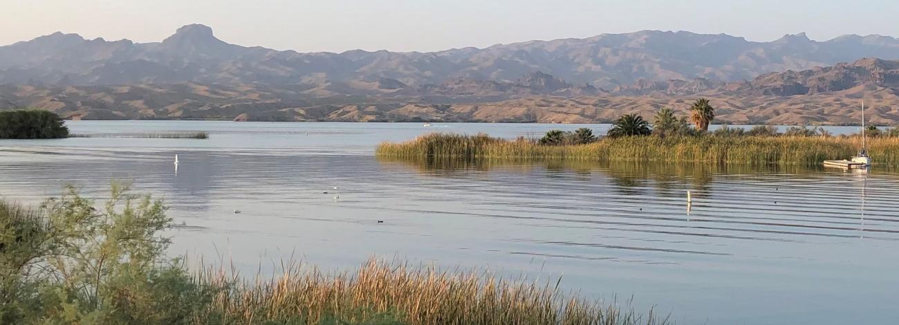 a lake with grassy islands and distant mountains