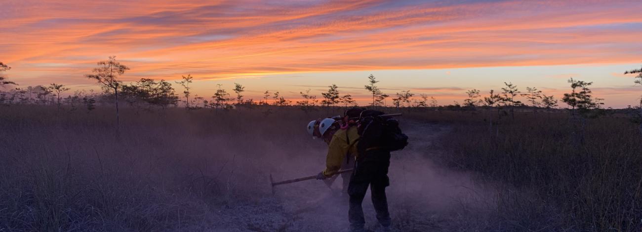 Two Jackson Hotshot Crew members clear brush at sunset