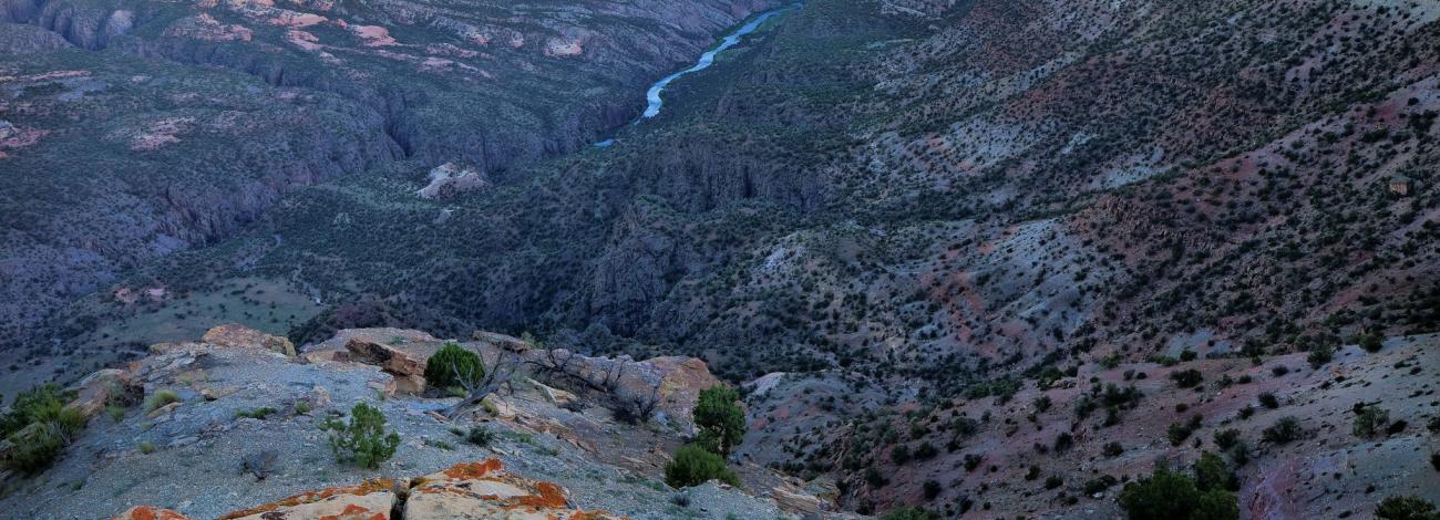 Image of Gunnison Gorge NCA by Bob Wick.
