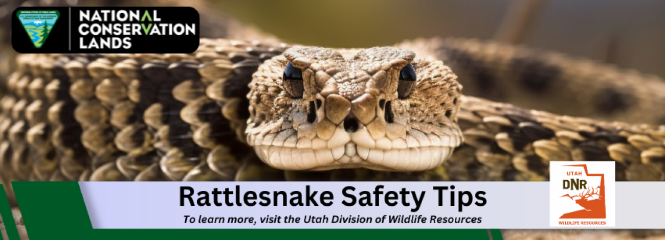 Hyperlink to the Utah Division of Wildlife Resources Rattlesnake Safety Tips