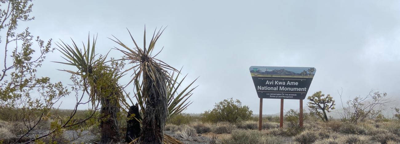 Entrance sign to Avi Kwa Ame National Monument surrounded by desert vegetation