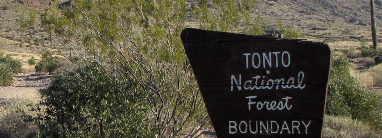 A brown, wooden sign reads Tonto National Forest Boundary US Department of Agriculture