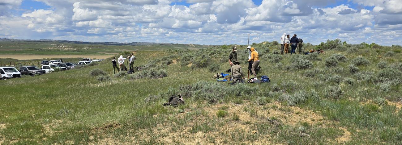 AIM Core Methods Training Terrestrial