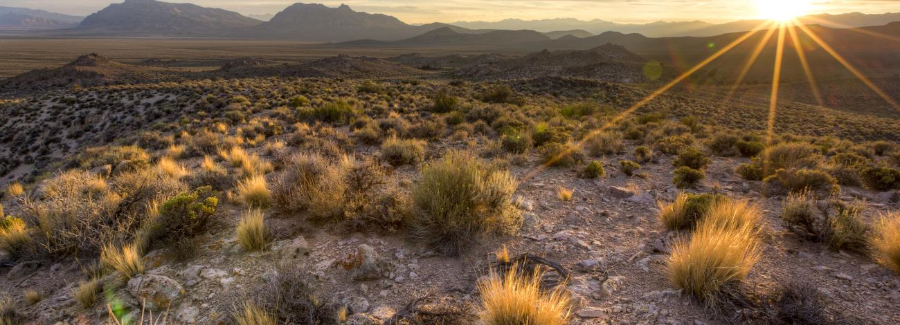 The sun sets over a rocky landscape and scattered desert brush.