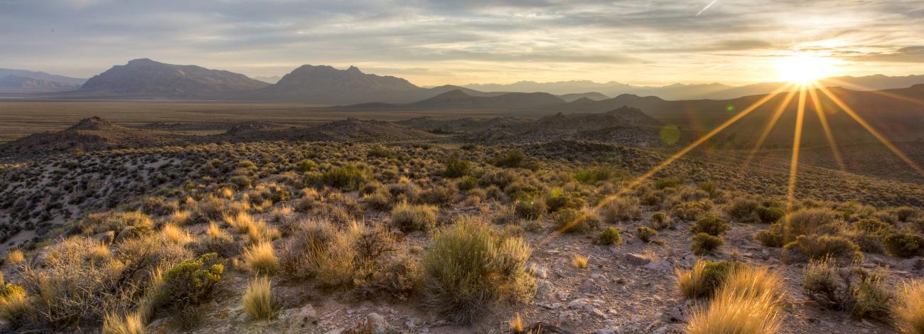 The sun sets over a rocky landscape and scattered desert brush.