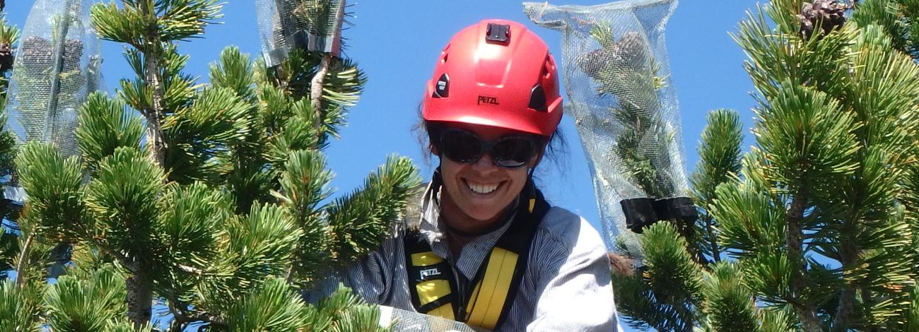 a woman smiles at the top of a pine tree