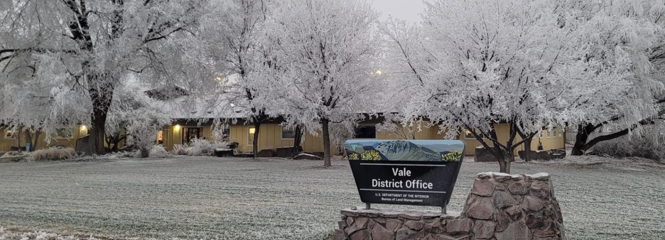 Exterior of Vale District Office building in the winter, with snowy trees