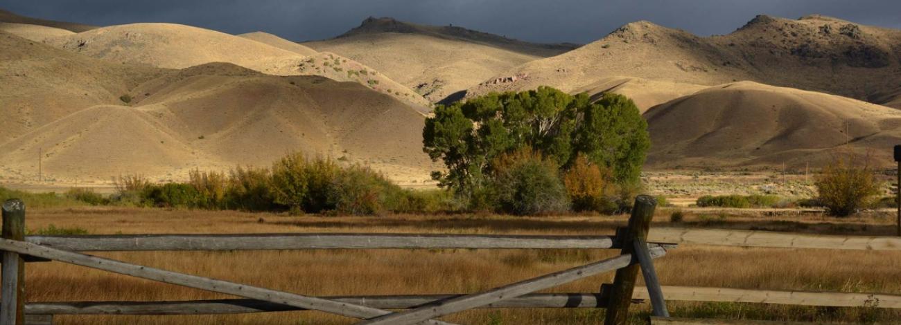 Photo of rolling hills and a wooden fence. 