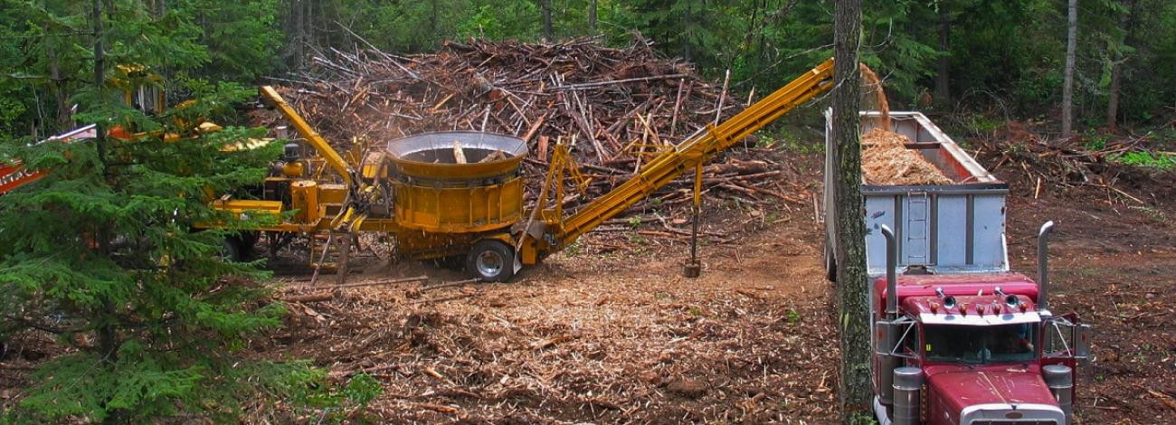 photo showing truck and downed trees