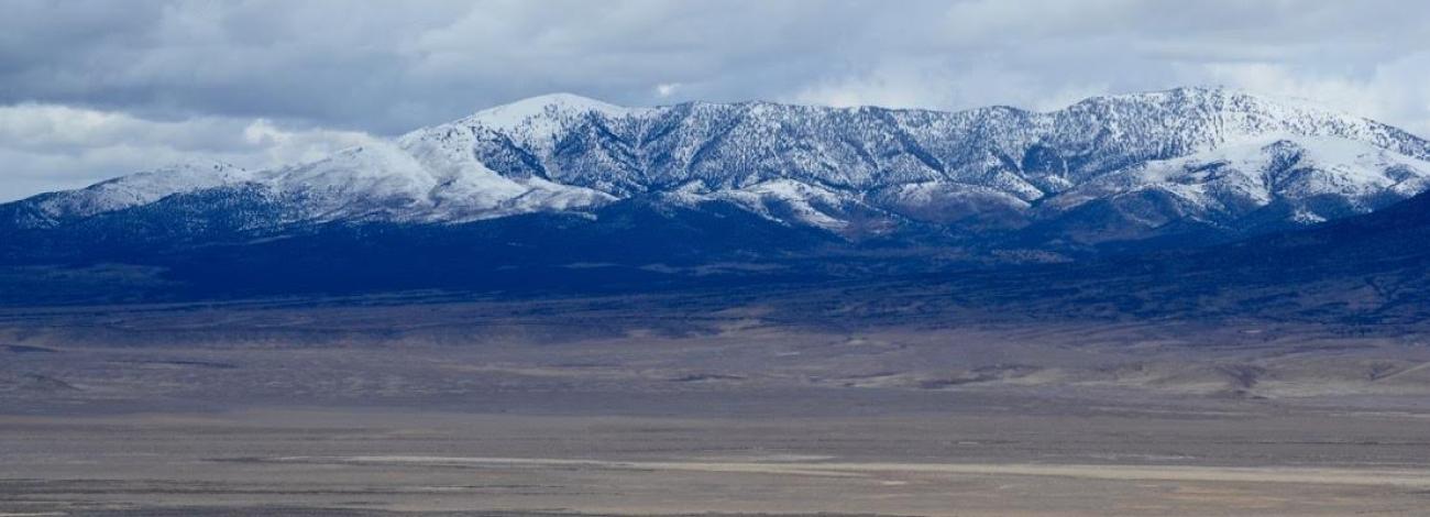 2019 TRIPLE B COMPLEX WILD HORSE GATHER | Bureau Of Land Management