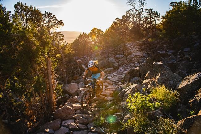 a mountain biker rides a trail