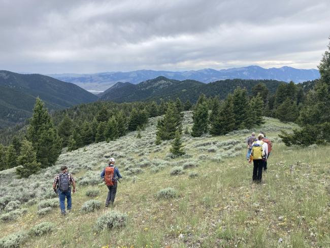 a group of scientists hike a mountain