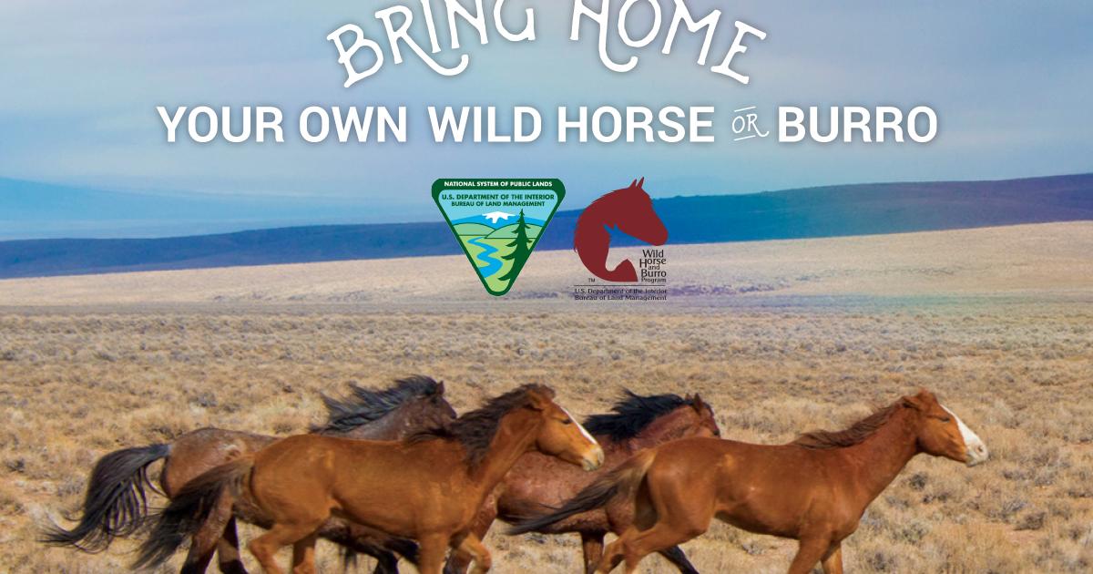Wild Horse and Burro Adoption and Sale Events