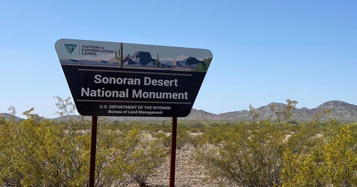 Hiking sonoran outlet desert national monument