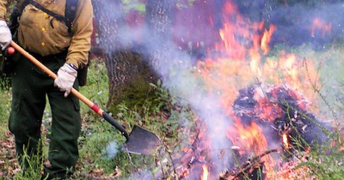 The Blm Plans Pile Burning Near Chimney Peak Extensive Resource Management Area Bureau Of Land 0632