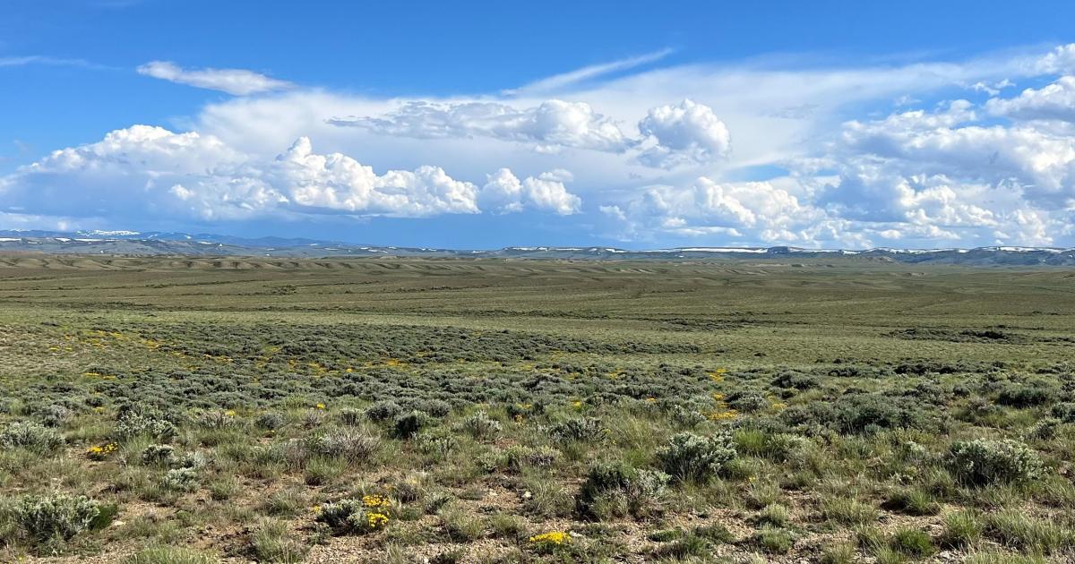 BLM announces  million investment from Bipartisan Infrastructure Law for ecosystem restoration | Bureau of Land Management