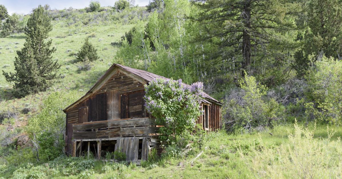 BLM seeks input on fourth Owyhee County travel management plan to ...