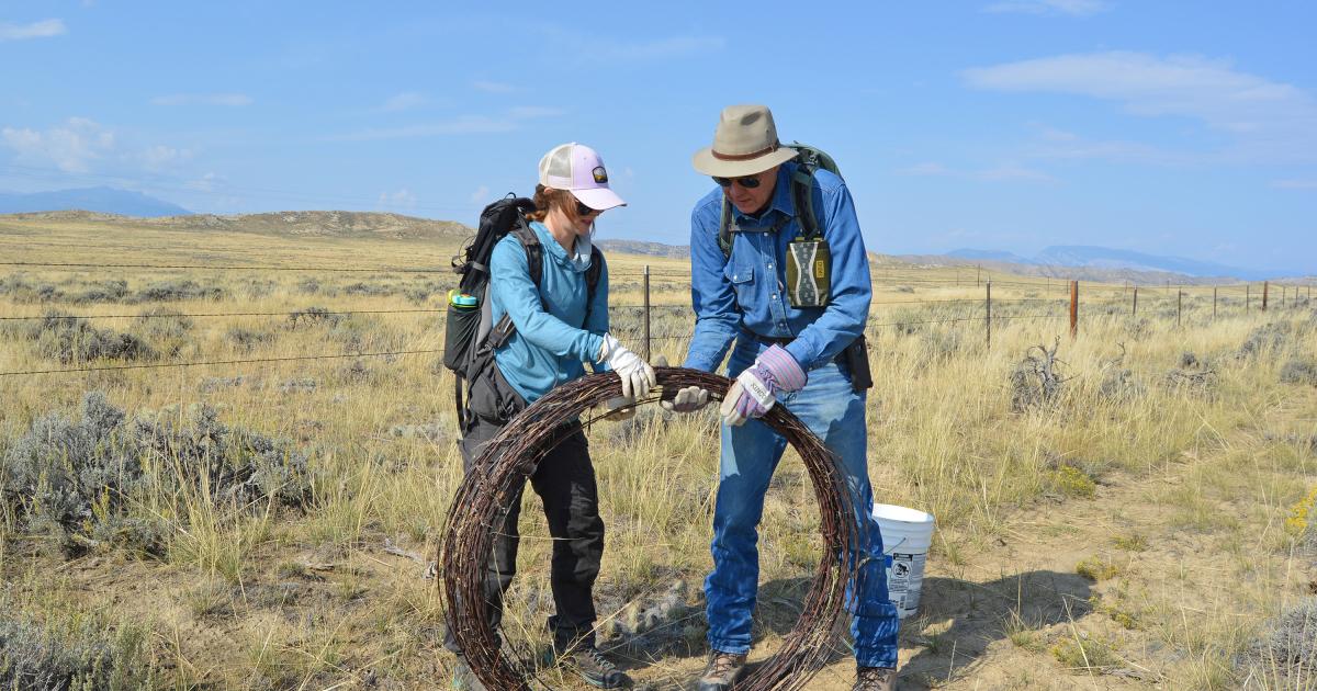 BLM and partners host two National Public Lands Day events near Cody