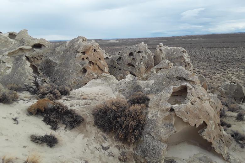 Mud Flat Oolite Site