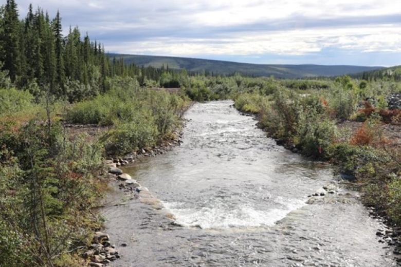 Photo of creek with vegetated banks.