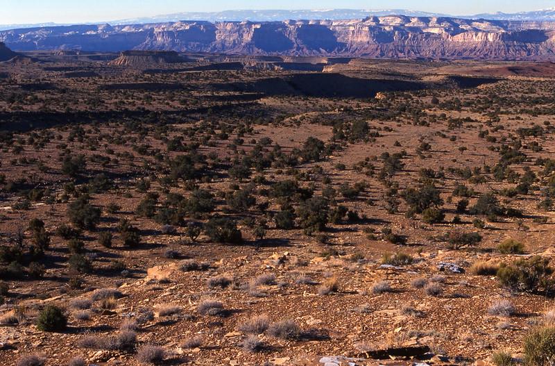 Landscape view of Muddy Creek Wilderness Study Area.