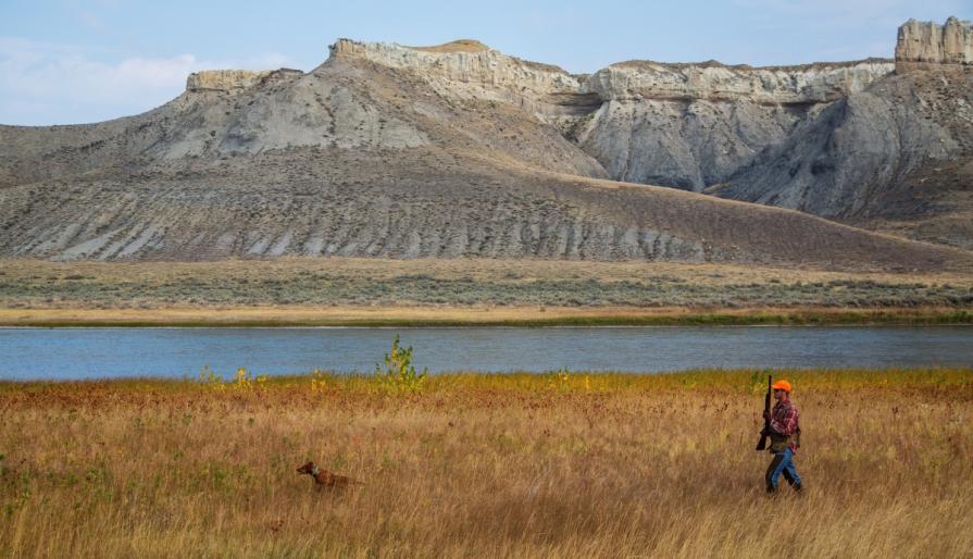 Hunter and his dog walking through grass field with mountains and water in the background