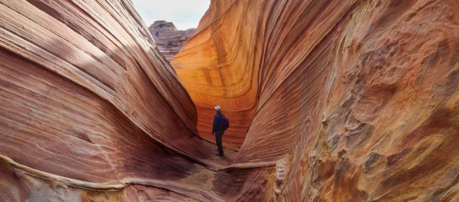 A close up of the Wave in Arizona. Photo by Bob Wick, BLM.