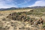 Cords of firewood offered for public sale line a two-track road south of Ely, Nevada.