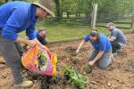 Meadowood SRMA staff are seen planting items in a community garden. 