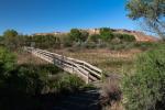 A bridge crosses over a riverbed in a wetland.