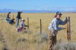 Several people stand or crouch along a fence line, using tools to cut wires.