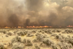 The Prairie Fire can be seen on the horizon of a field of cheatgrass and sagebrush. 