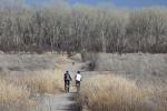 A photo showing a packed dirt path winding through the brush to a tree-lined riparian area. Two people are riding their bicycles on the path. It is fall or winter, as the brush is brown and gray, and the cottonwood trees have lost their leaves.