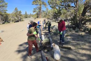 group of volunteers repairing fencing