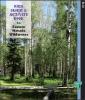 Cover of workbook showing title over image of a lush green forest area of pine and aspen trees