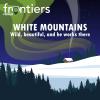 Alaska Frontiers White Mountains National Recreation Area podcast album art. Cabin in a snowy forested landscape with green northern lights in the sky.