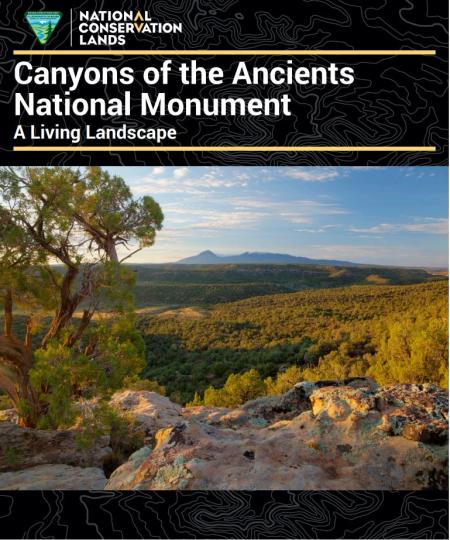 Cover of Canyons of the Ancients NM A Living Landscape